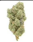 Cheeta Piss 7g
