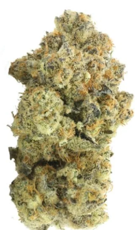 Wizard Pie 7g - The B