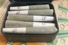 Pet Walkers Megalodon - 2.5g 5 Pack Pre-rolls - Theb