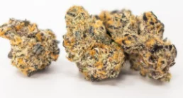 Calendar Island Flower Z-pie 3.5g