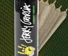 Calendar Island Jerry Garcia Sour Gelato Squared 5pk Pre-roll