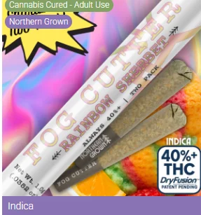 Fog Cutter Rainbow Sherbet .5g Twin Pack Infused Pre-rolls