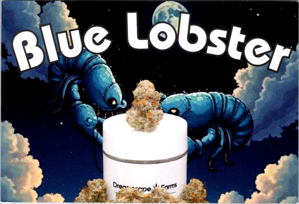 Blue Lobster 7g Dreamscape Farms