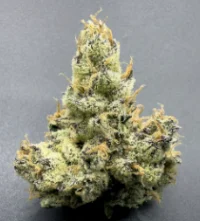 Cream Royale 28g - Frosted Fire