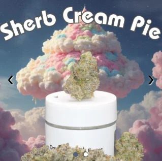 Dsf Sherb Cream Pie 14g