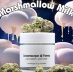 Dsf Marshmallow Milk 14g