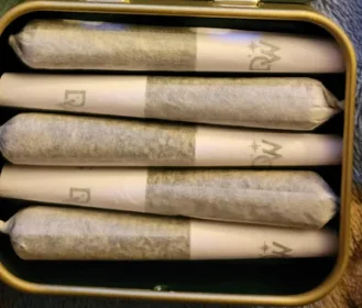 The B | Trop Cherry | 5 Pack .5g Pet Walker Pre-rolls