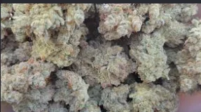 Nana Glue 7g Iron Lung