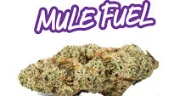 Mule Fuel 14g Iron Lung