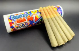 Ff Watermelon Freezer | .5g | 5pk Pre-rolls