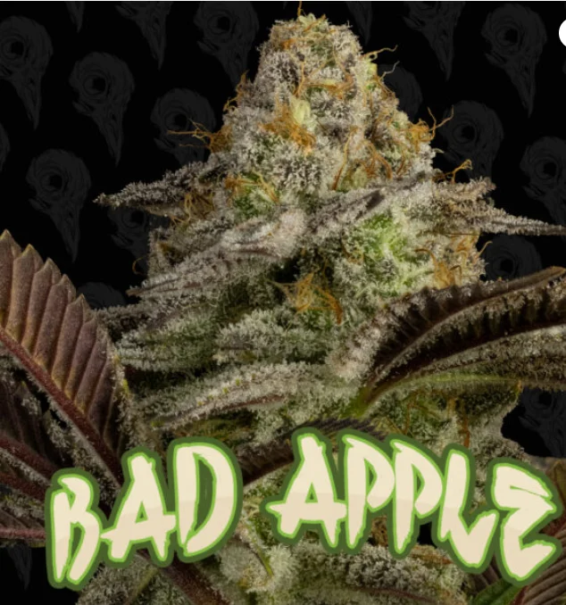 Bad Apple Smalls 28g