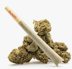 Super Saver Sex On The Beach 1g Pre-roll