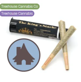 Treehouse Savory Sorbet Twin Pack Pre-rolls Infused 1g