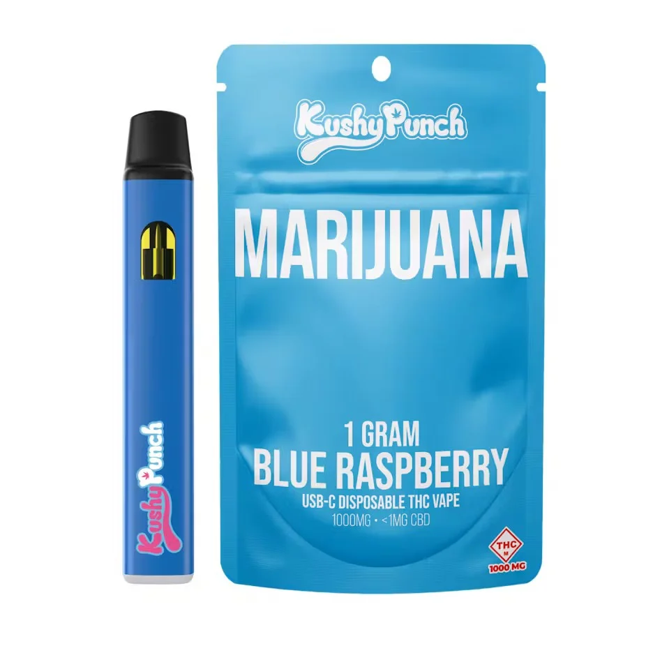 1g Blue Raspberry Disposable 1g Blue Raspberry Disposable