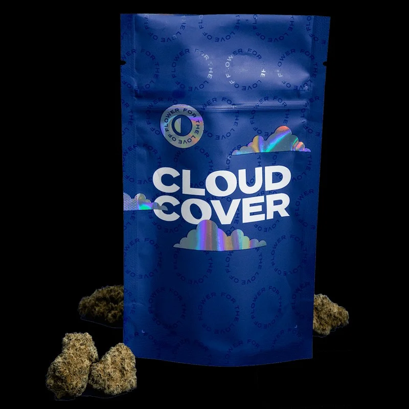 Oz Dos | 1/8th |hybrid Oz Dos | 1/8th |hybrid
