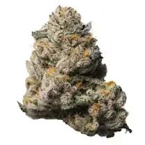 3.5g Wifi 43 X Dosidos
