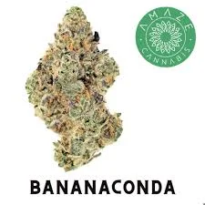 3.5g Bananaconda