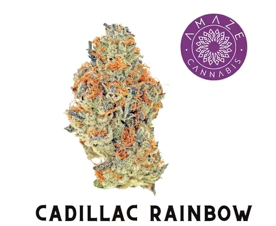 Cadillac Rainbow | (1/8th) | Indica