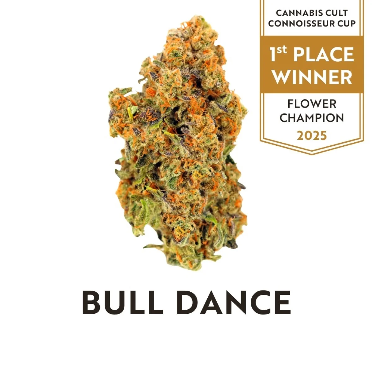 14g Bull Dance
