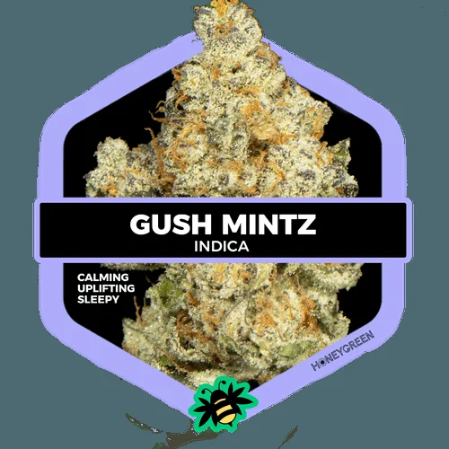 Gush Mintz | (1/8th)