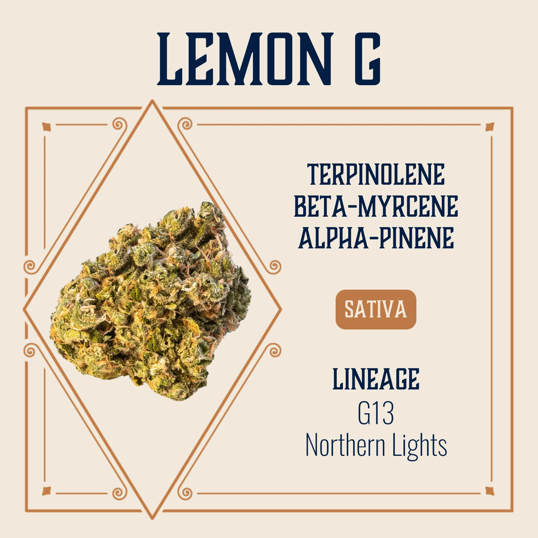 3.5g Lemon G 1:1 (thc:cbd) Flower