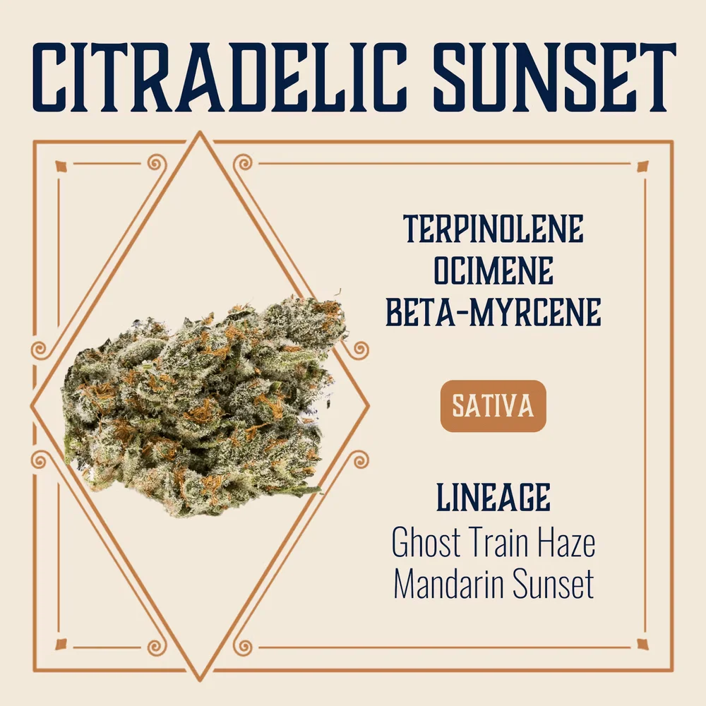 Citradelic Sunset | (1/8th)