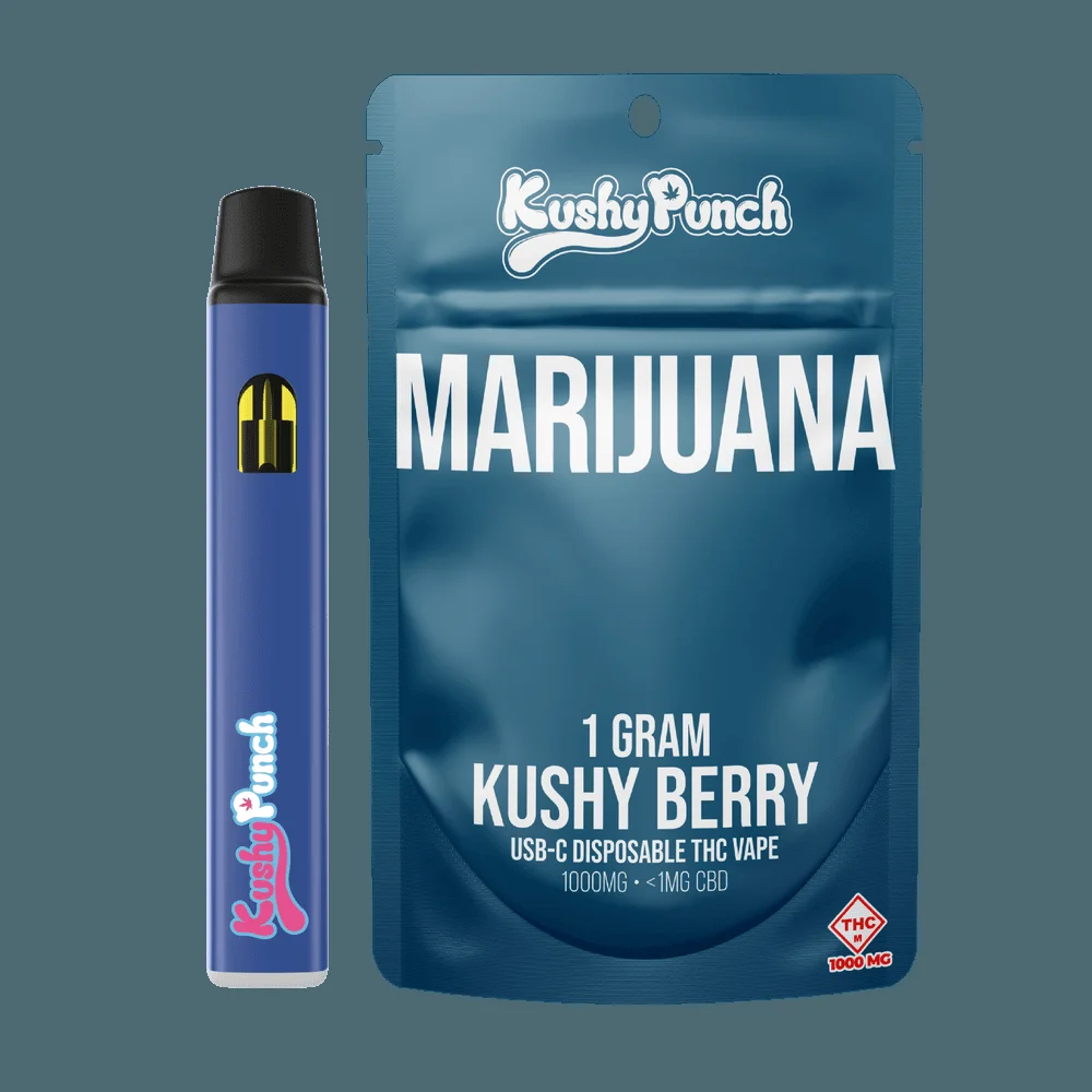 Kushy Berry | (1g) Distillate All-in-one