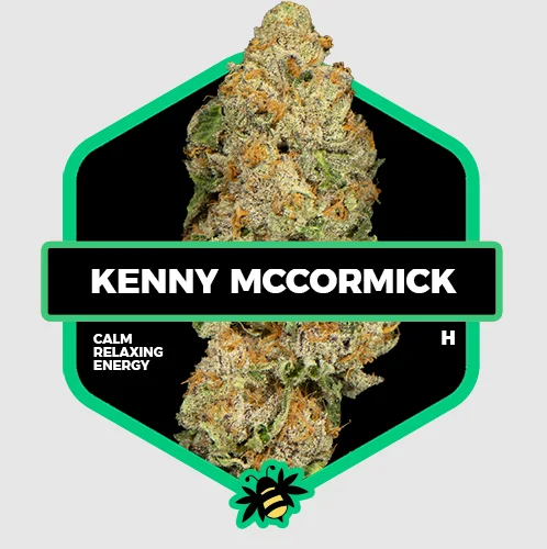 7g Kenny Mccormick