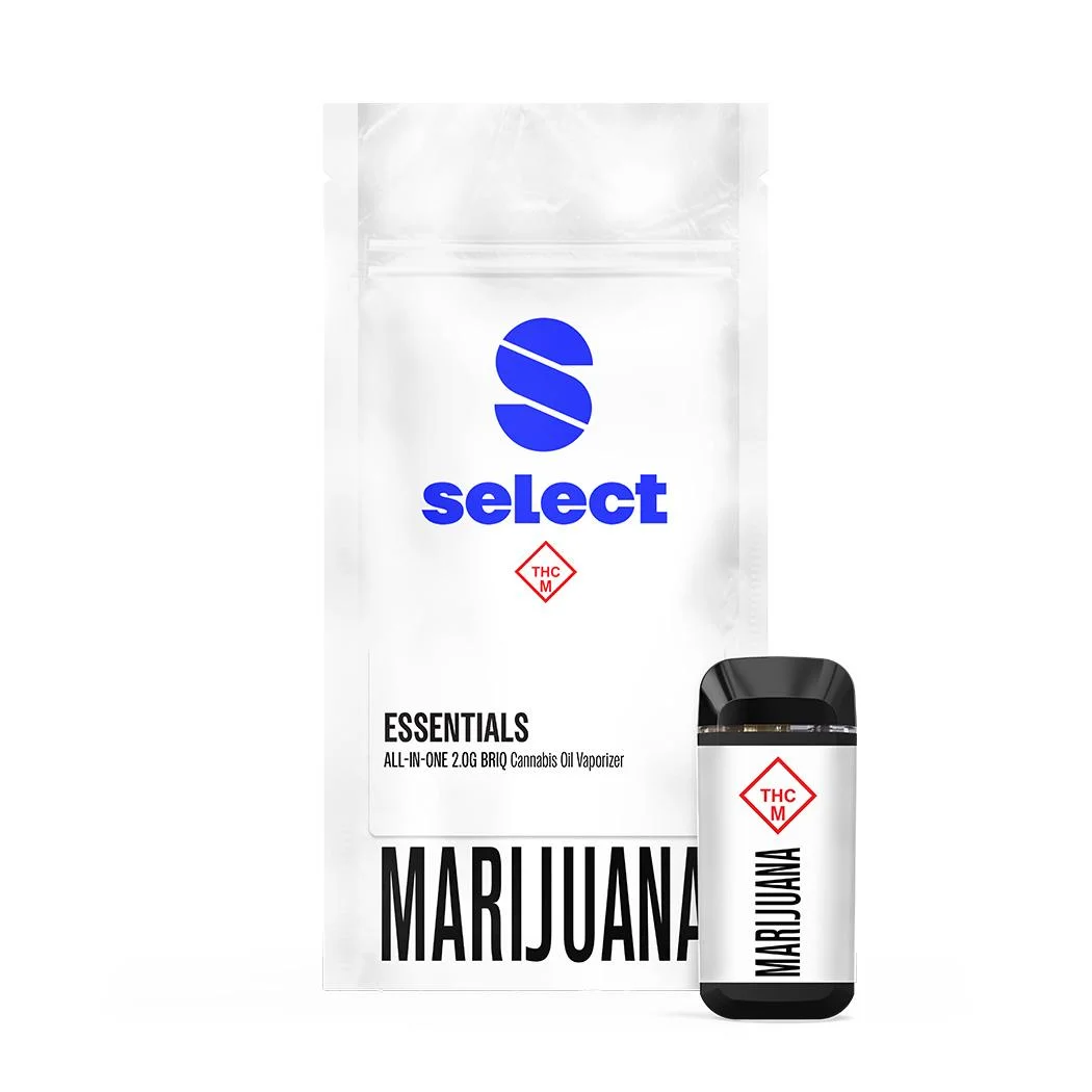 2g Unicorn Piss Briq Disposable