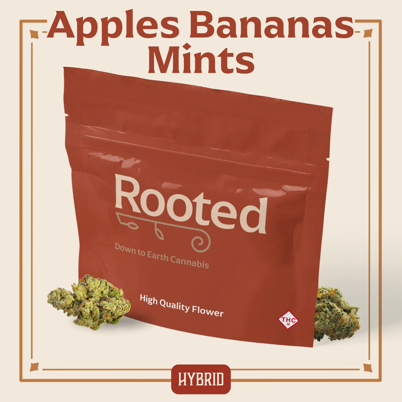 14g Apples And Bananas Mints
