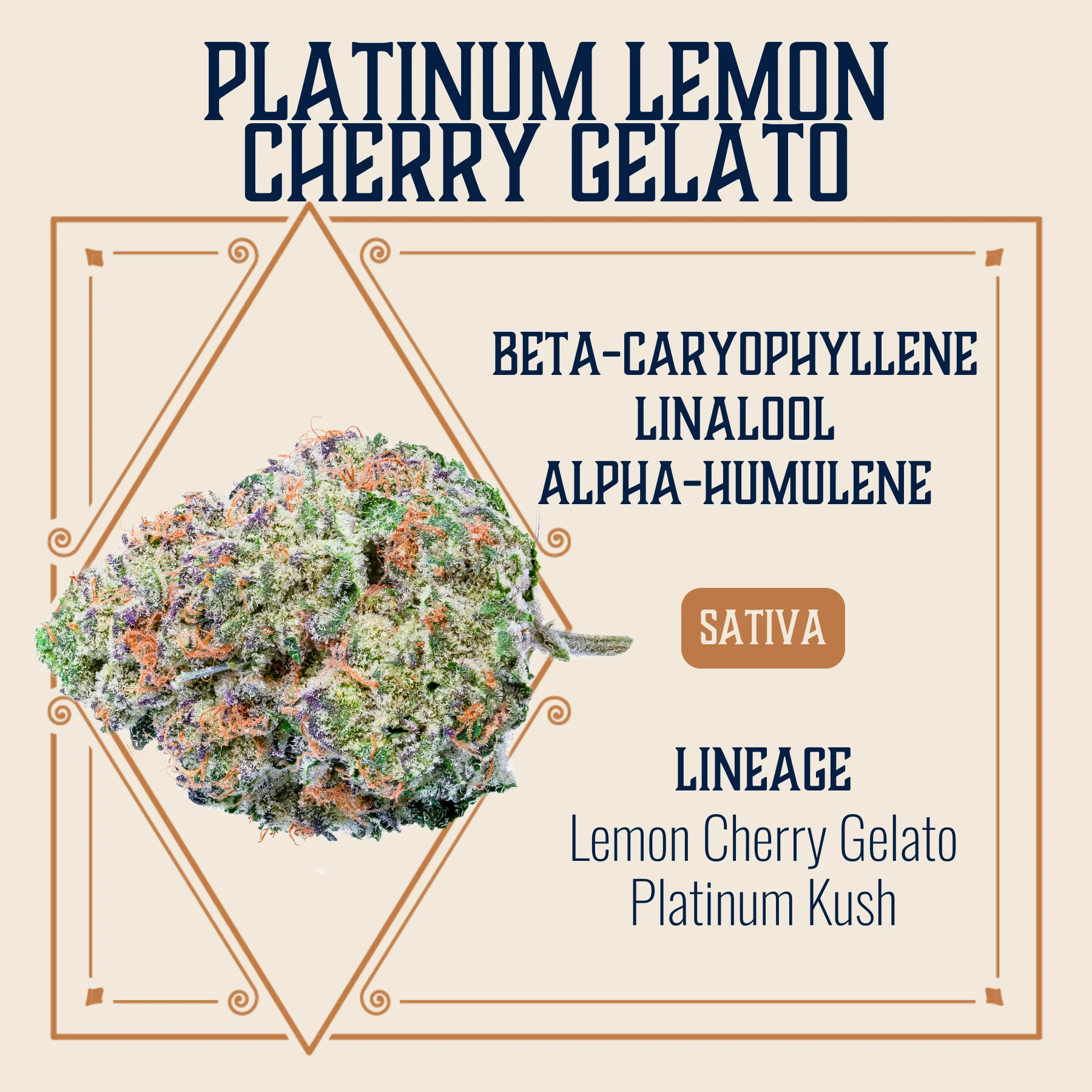 3.5g Platinum Lemon Cherry Gelato