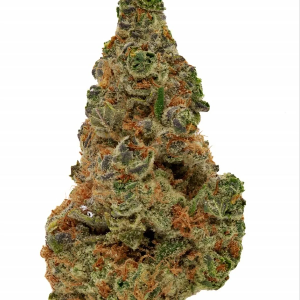 Flora Farms 14g Lemon Cherry Gelato