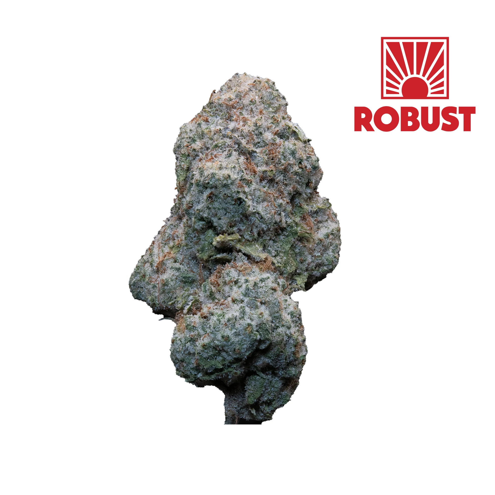 1g Kush Mintz #10