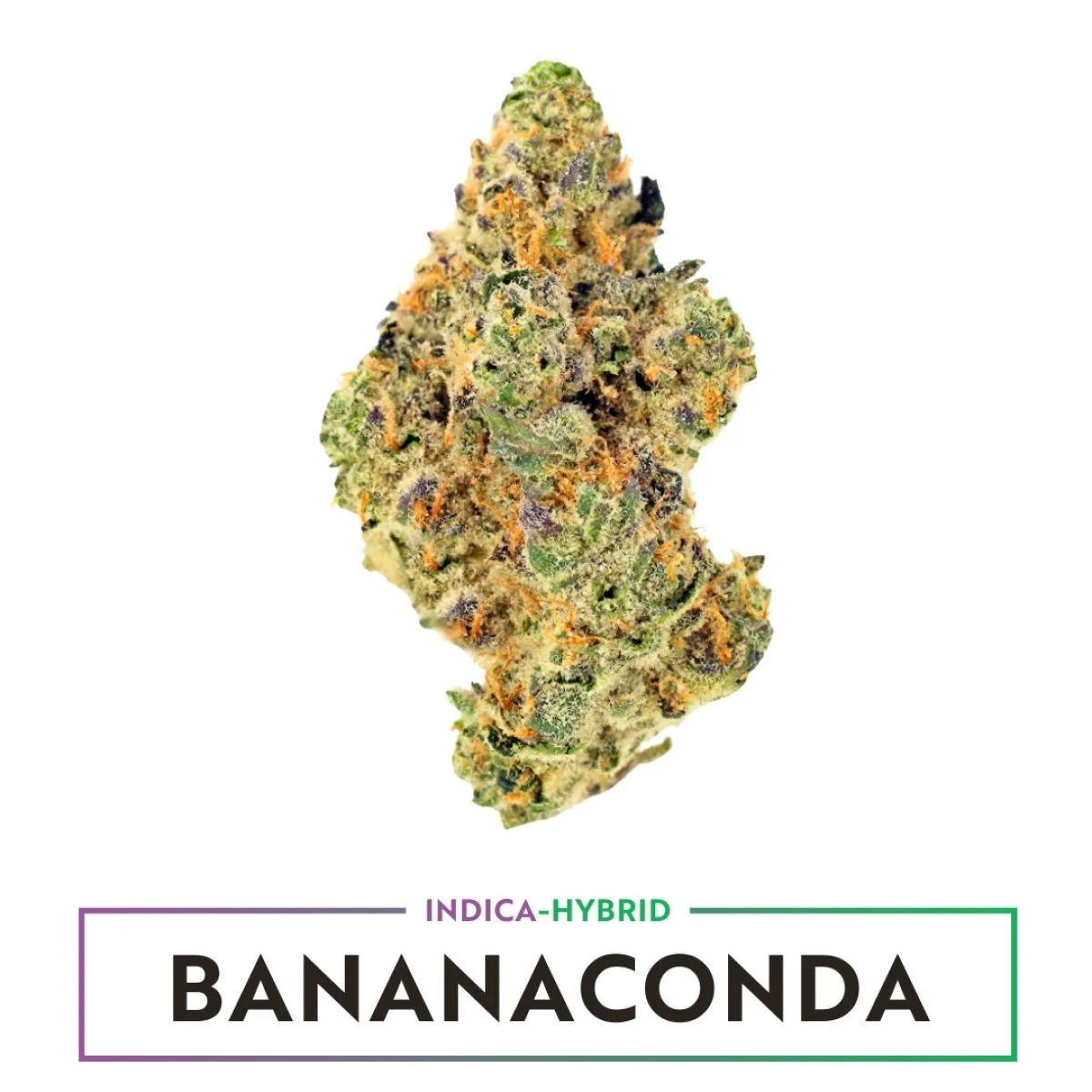 3.5g Bananaconda