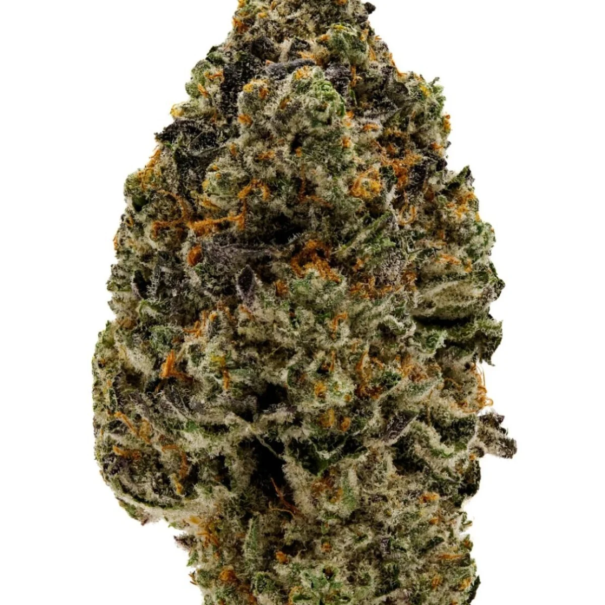 14g Oreoz