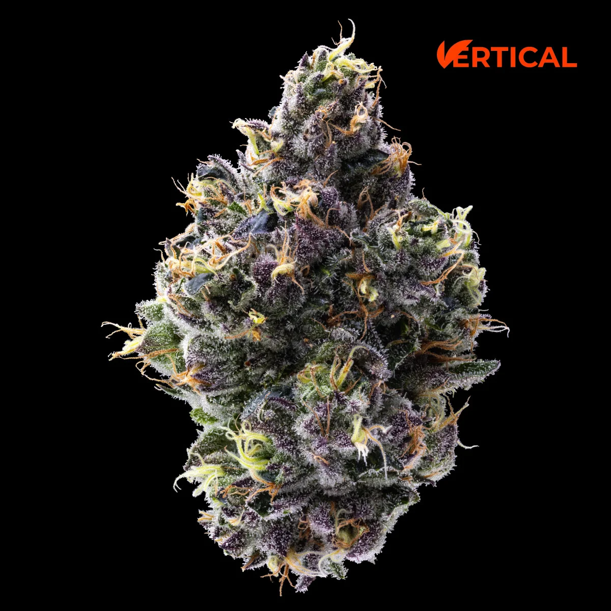 3.5g Gelato 33 3.5g Gelato 33