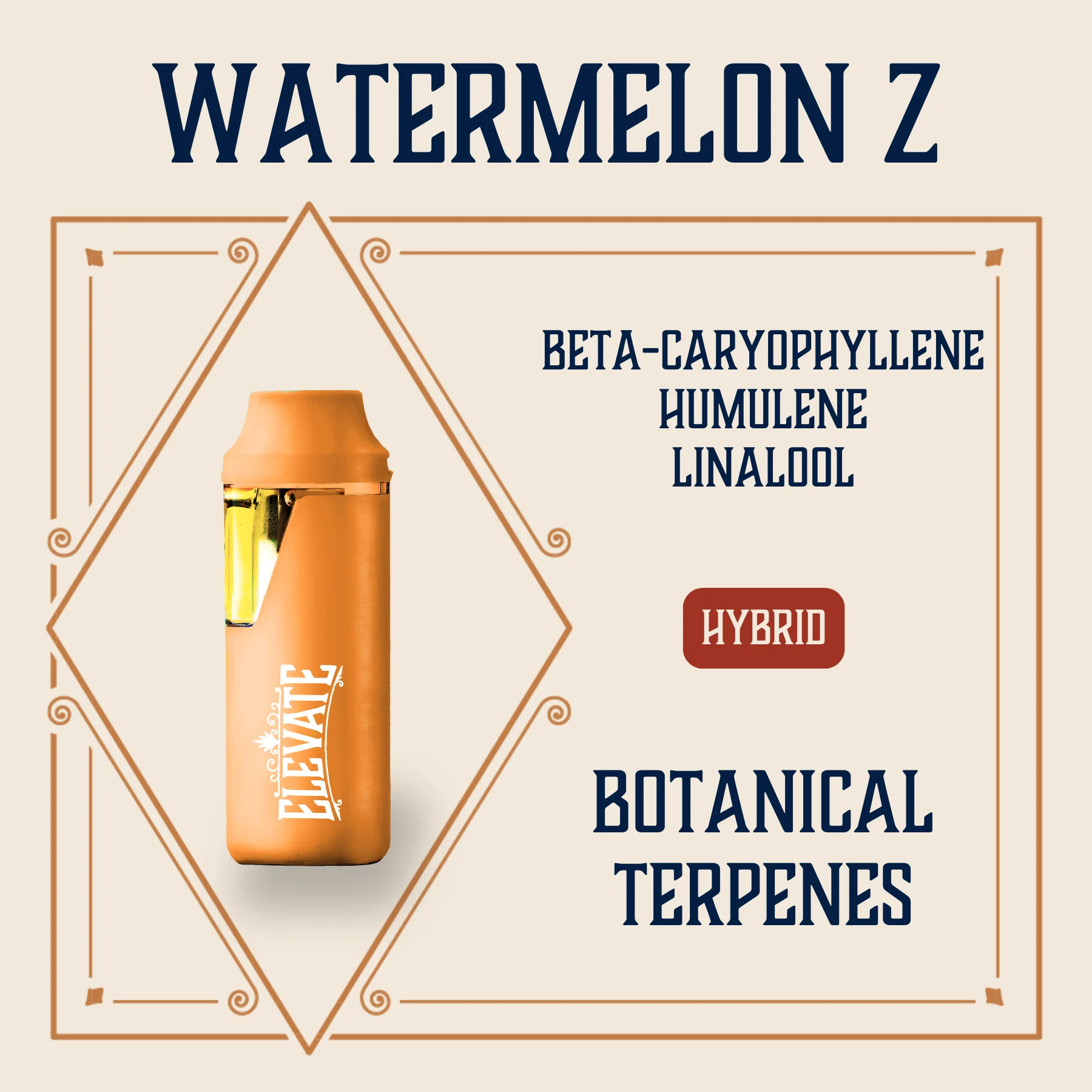 0.5g Watermelon Z Min-e-bar Disposable