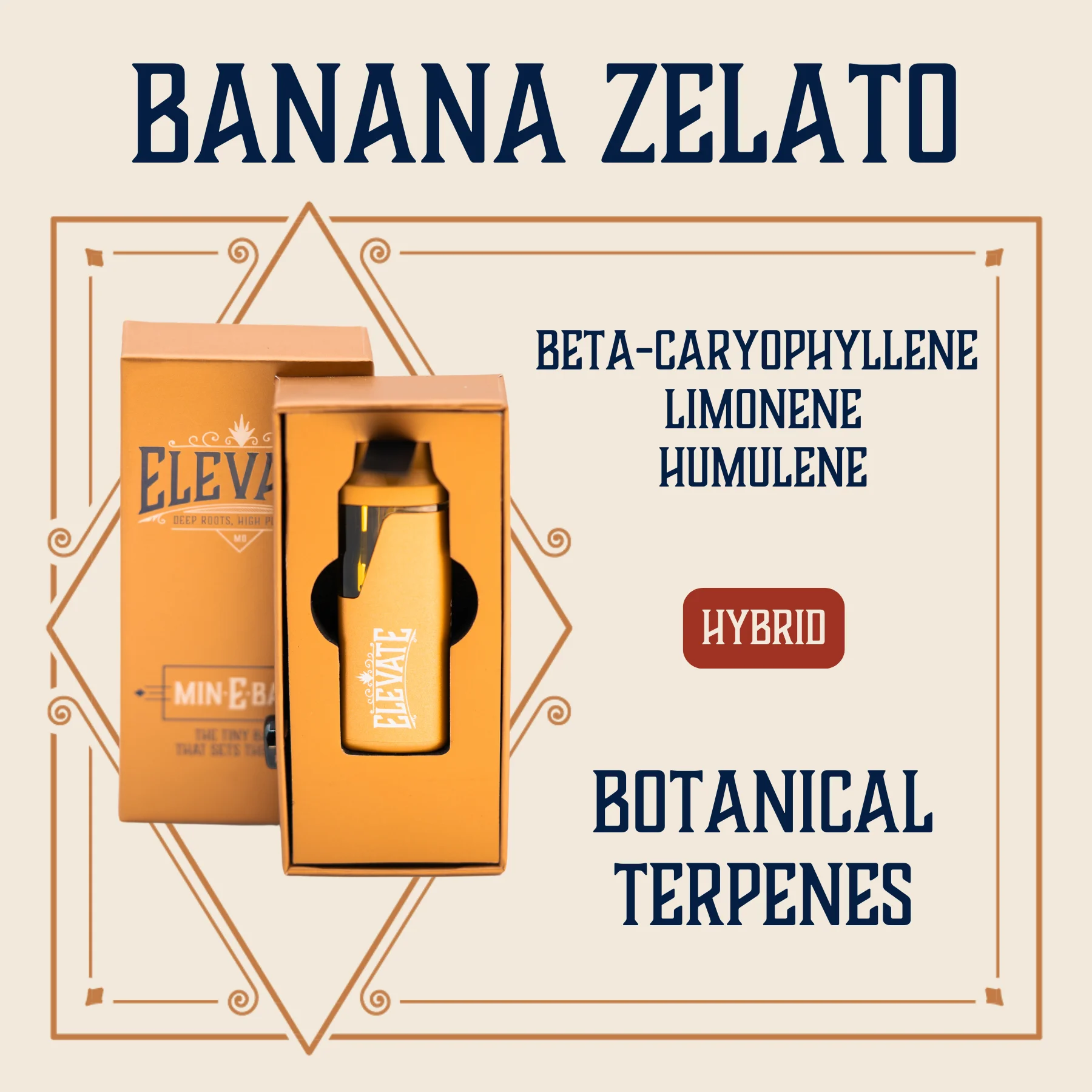 ELEVATE 1g Banana Zelato Min-e-bar Disposable | Premium Cannabis
