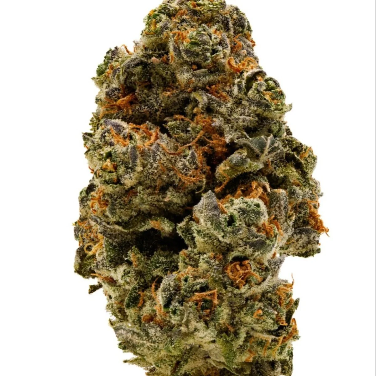 14g Jack Herer