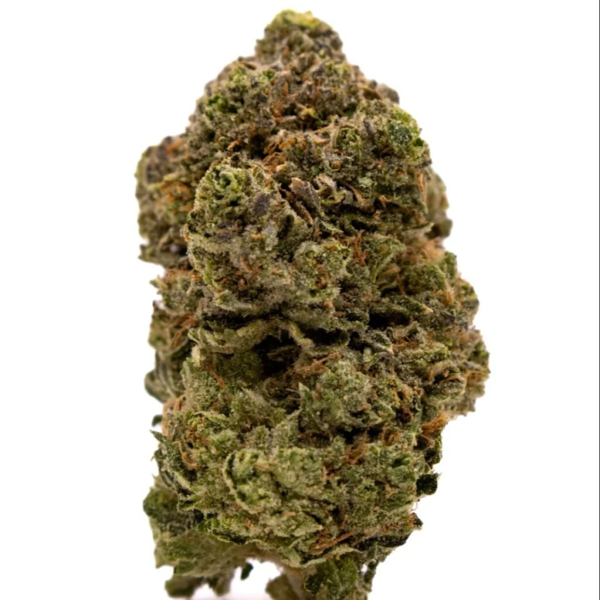 7g Silver Ghost Tier Popcorn 7g Silver Ghost Tier Popcorn