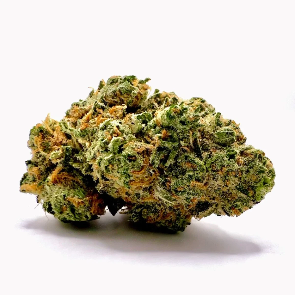 3.5g Key Lime Gelato Tier 3 Flower