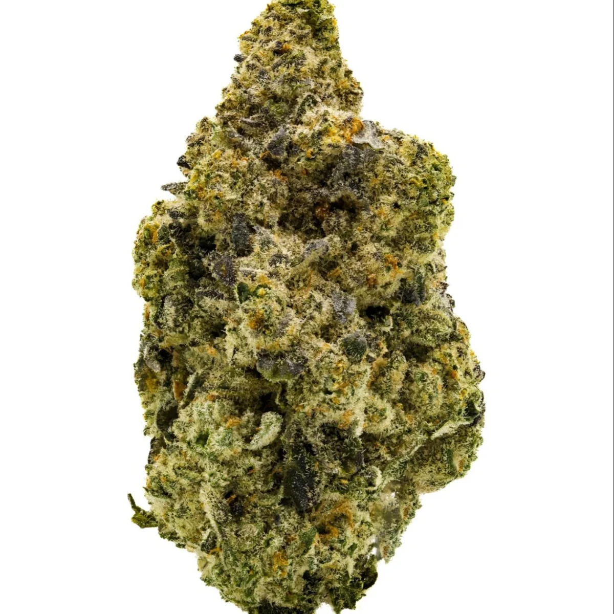 3.5g Lazer Wolf Tier 2 Flower