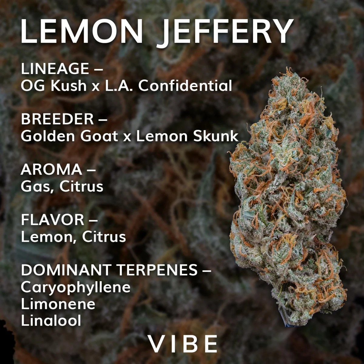 7g Lemon Jeffery Budlets 7g Lemon Jeffery Budlets
