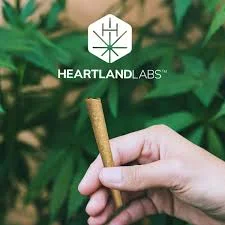 ★新品　パンダツイストバングル　ボトルグリーン　スナフジタ HEARTLAND LABS 0.5g Apple Banana Mints Prerolls 2pk | Premium