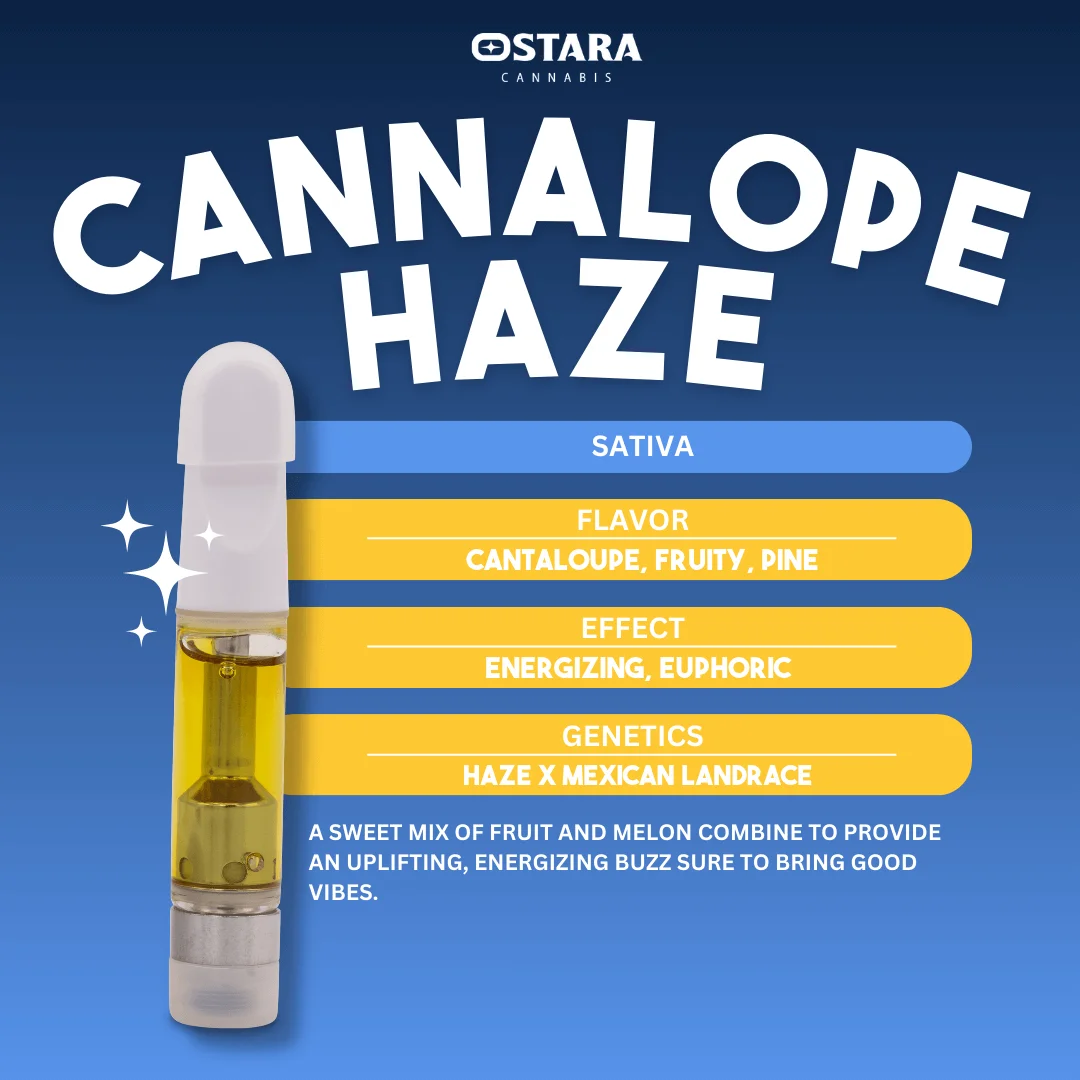 ostara disposable vape 1g Cannaloupe Haze Distillate Cart FDA OKs first menthol PO#1721 Kit Colour:Amber