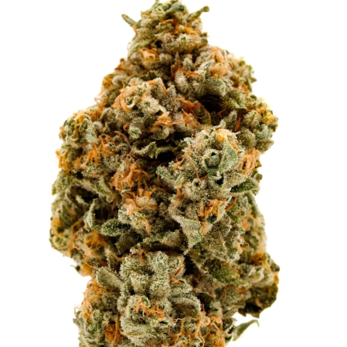 7g Black Ice Tier 2 Popcorn 7g Black Ice Tier 2 Popcorn