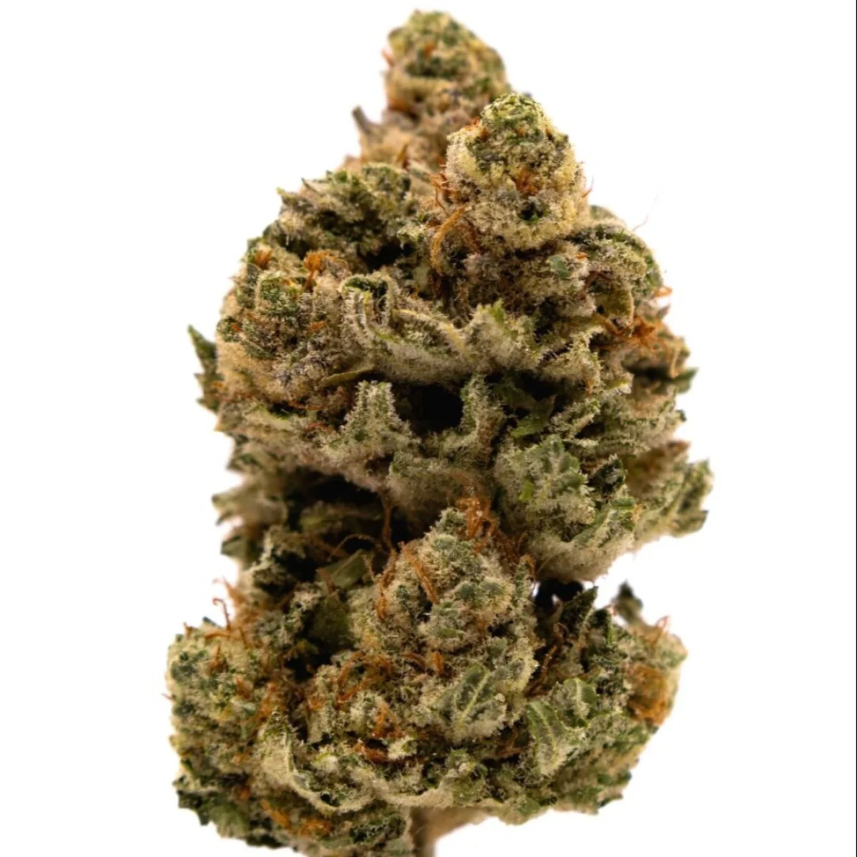 14g Alien Og