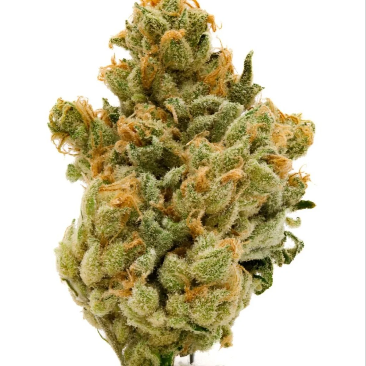 14g Honey Banana