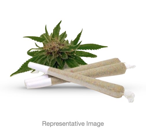 Caramel Apple Preroll 1g