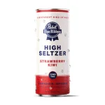 Strawberry Kiwi - High Seltzer (10mg)
